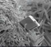 Misma fisura tratada en 2023 con la nanocristalización catalizada Therglass®.